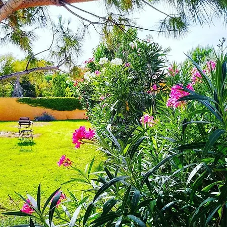 Bed & Breakfast Le Paquebot *